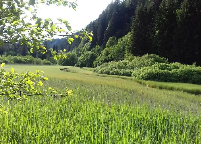 Apartma Kramar Podkoren アパート